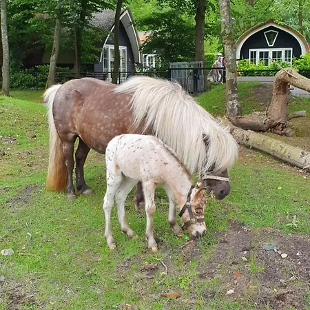 Chalet Ferienlust Duisburg